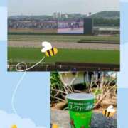 ヒメ日記 2026/04/23 07:45 投稿 清水ねね セクシーキャット 神田店