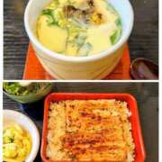 ヒメ日記 2026/04/23 11:45 投稿 清水ねね セクシーキャット 神田店