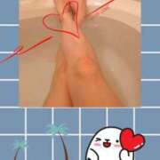 ヒメ日記 2026/04/27 16:30 投稿 清水ねね セクシーキャット 神田店