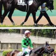 ヒメ日記 2026/05/11 07:45 投稿 清水ねね セクシーキャット 神田店