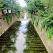 ヒメ日記 2026/07/23 07:45 投稿 清水ねね セクシーキャット 神田店