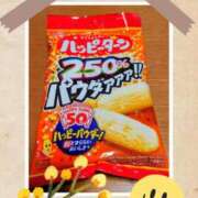 ヒメ日記 2026/09/14 07:45 投稿 清水ねね セクシーキャット 神田店