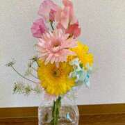 ヒメ日記 2025/01/19 07:24 投稿 高山ありさ セクシーキャット 神田店