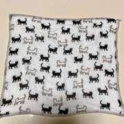 ヒメ日記 2025/06/08 07:25 投稿 高山ありさ セクシーキャット 神田店