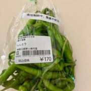 ヒメ日記 2025/08/03 07:21 投稿 高山ありさ セクシーキャット 神田店