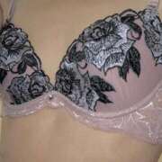 ヒメ日記 2025/10/05 15:11 投稿 高山ありさ セクシーキャット 神田店