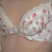 ヒメ日記 2025/10/26 15:00 投稿 高山ありさ セクシーキャット 神田店