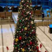 ヒメ日記 2025/11/24 07:16 投稿 高山ありさ セクシーキャット 神田店