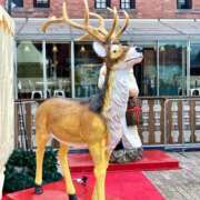 ヒメ日記 2025/11/30 07:25 投稿 高山ありさ セクシーキャット 神田店