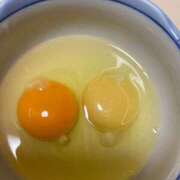 ヒメ日記 2026/02/01 07:27 投稿 高山ありさ セクシーキャット 神田店