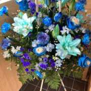 ヒメ日記 2026/02/22 07:22 投稿 高山ありさ セクシーキャット 神田店