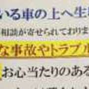 ヒメ日記 2026/03/01 07:20 投稿 高山ありさ セクシーキャット 神田店