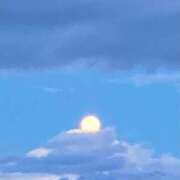 高山ありさ おはようございます🍀 セクシーキャット 神田店