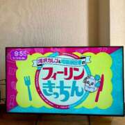 高山ありさ おはようございます🍀 セクシーキャット 神田店