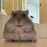 ヒメ日記 2025/09/07 11:05 投稿 青葉　ことぶき☆大当たり ～地元厳選美女がお出迎え～私の部屋にキテネ！トレビの泉