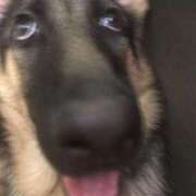 ヒメ日記 2025/10/23 21:32 投稿 青葉　ことぶき☆大当たり ～地元厳選美女がお出迎え～私の部屋にキテネ！トレビの泉