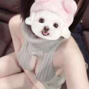 ヒメ日記 2025/11/25 02:14 投稿 青葉　ことぶき☆大当たり ～地元厳選美女がお出迎え～私の部屋にキテネ！トレビの泉