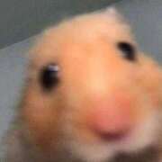 青葉　ことぶき☆大当たり リフレッシュ☘ ～地元厳選美女がお出迎え～私の部屋にキテネ！トレビの泉