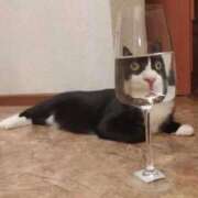 ヒメ日記 2026/03/18 21:03 投稿 青葉　ことぶき☆大当たり ～地元厳選美女がお出迎え～私の部屋にキテネ！トレビの泉