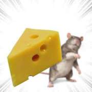 ヒメ日記 2026/03/29 21:21 投稿 青葉　ことぶき☆大当たり ～地元厳選美女がお出迎え～私の部屋にキテネ！トレビの泉