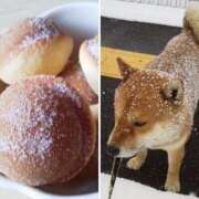 ヒメ日記 2026/04/03 17:29 投稿 青葉　ことぶき☆大当たり ～地元厳選美女がお出迎え～私の部屋にキテネ！トレビの泉