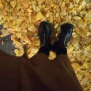 ヒメ日記 2024/12/11 20:56 投稿 あいの マダムハンズ