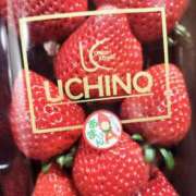 ヒメ日記 2025/03/11 14:45 投稿 にいな 五反田人妻ヒットパレード（シンデレラグループ）