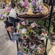 ヒメ日記 2024/12/18 11:34 投稿 ゆな 素人妻御奉仕倶楽部Hip's松戸店