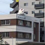 ヒメ日記 2024/12/25 14:34 投稿 ゆな 素人妻御奉仕倶楽部Hip's松戸店