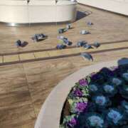 ヒメ日記 2024/12/29 12:55 投稿 ゆな 素人妻御奉仕倶楽部Hip's松戸店