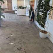 ヒメ日記 2024/12/31 13:24 投稿 ゆな 素人妻御奉仕倶楽部Hip's松戸店