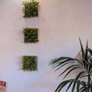 ヒメ日記 2025/01/08 21:57 投稿 ゆな 素人妻御奉仕倶楽部Hip's松戸店