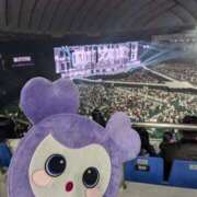 ヒメ日記 2025/01/16 18:17 投稿 ゆな 素人妻御奉仕倶楽部Hip's松戸店