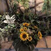 ヒメ日記 2025/01/27 07:07 投稿 ゆな 素人妻御奉仕倶楽部Hip's松戸店