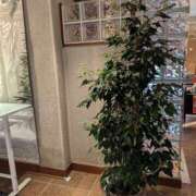 ヒメ日記 2025/02/06 14:13 投稿 ゆな 素人妻御奉仕倶楽部Hip's松戸店