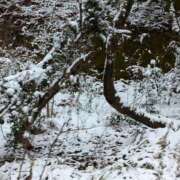 ヒメ日記 2025/02/08 13:12 投稿 ゆな 素人妻御奉仕倶楽部Hip's松戸店