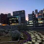 ヒメ日記 2025/02/11 18:32 投稿 ゆな 素人妻御奉仕倶楽部Hip's松戸店