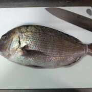 ヒメ日記 2025/02/12 21:23 投稿 ゆな 素人妻御奉仕倶楽部Hip's松戸店