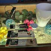 ヒメ日記 2025/02/15 14:12 投稿 ゆな 素人妻御奉仕倶楽部Hip's松戸店