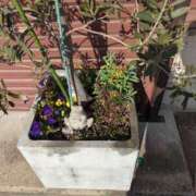 ヒメ日記 2025/02/18 12:42 投稿 ゆな 素人妻御奉仕倶楽部Hip's松戸店