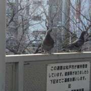 ヒメ日記 2025/02/24 18:22 投稿 ゆな 素人妻御奉仕倶楽部Hip's松戸店