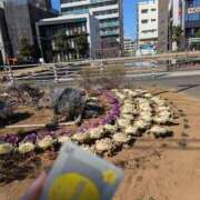 ヒメ日記 2025/02/25 10:32 投稿 ゆな 素人妻御奉仕倶楽部Hip's松戸店