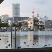 ヒメ日記 2025/03/13 17:29 投稿 ゆな 素人妻御奉仕倶楽部Hip's松戸店