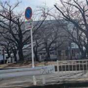 ヒメ日記 2025/03/15 09:08 投稿 ゆな 素人妻御奉仕倶楽部Hip's松戸店