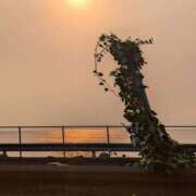 ヒメ日記 2025/03/25 09:18 投稿 ゆな 素人妻御奉仕倶楽部Hip's松戸店