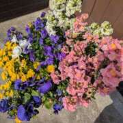 ヒメ日記 2025/03/28 09:28 投稿 ゆな 素人妻御奉仕倶楽部Hip's松戸店