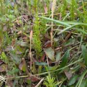 ヒメ日記 2025/04/01 17:28 投稿 ゆな 素人妻御奉仕倶楽部Hip's松戸店