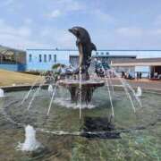 ヒメ日記 2025/04/05 13:48 投稿 ゆな 素人妻御奉仕倶楽部Hip's松戸店