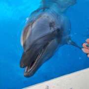 ヒメ日記 2025/04/05 17:28 投稿 ゆな 素人妻御奉仕倶楽部Hip's松戸店