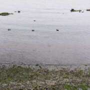 ヒメ日記 2025/04/05 18:38 投稿 ゆな 素人妻御奉仕倶楽部Hip's松戸店